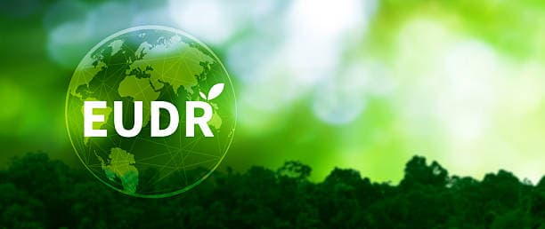 تحديث إنفاذ EUDR: منتجو كيماويات النخيل الإندونيسيون معرضون للخطر
