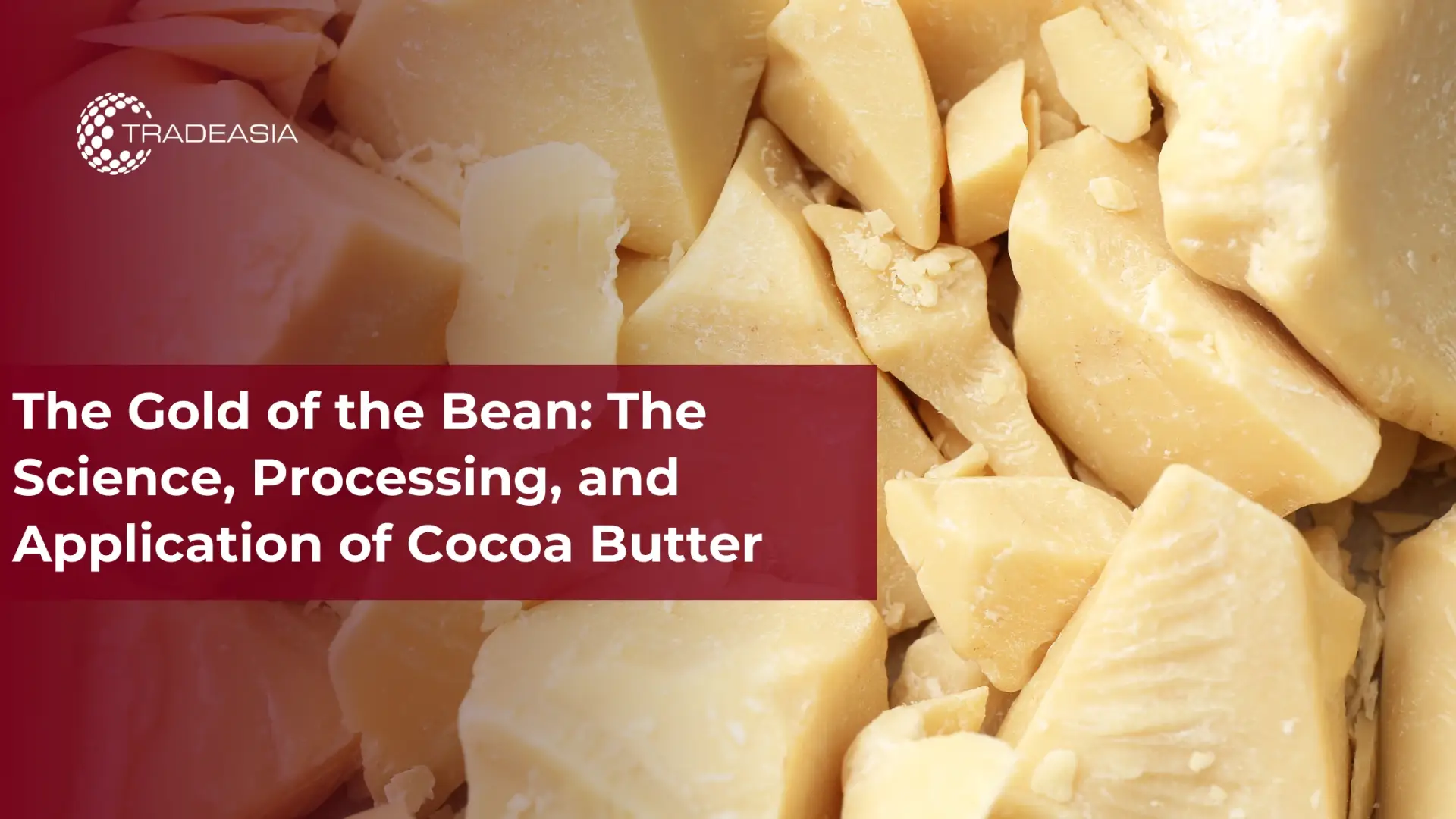 The Gold of the Bean: علم ومعالجة وتطبيق زبدة الكاكاو