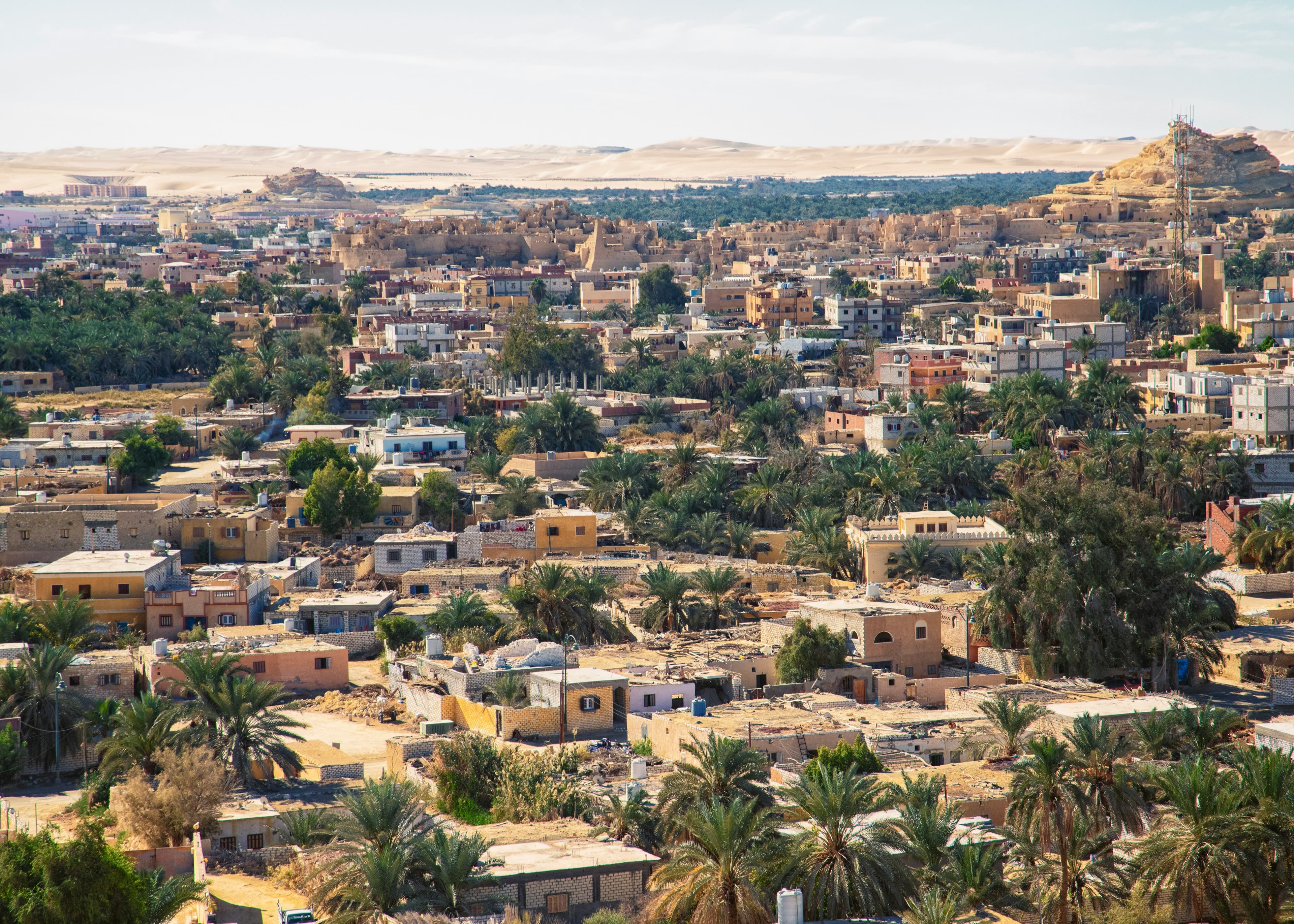 84٪ من PE في الشرق الأوسط تعتمد على مضيق هرمز: بيانات ICIS وما تعنيه لسرعة التعافي في الربع الثالث