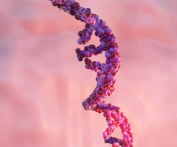 يتحول صانعو API الكوريون إلى RNA و ADC والببتيدات للهروب من حروب الأسعار بين الصين والهند