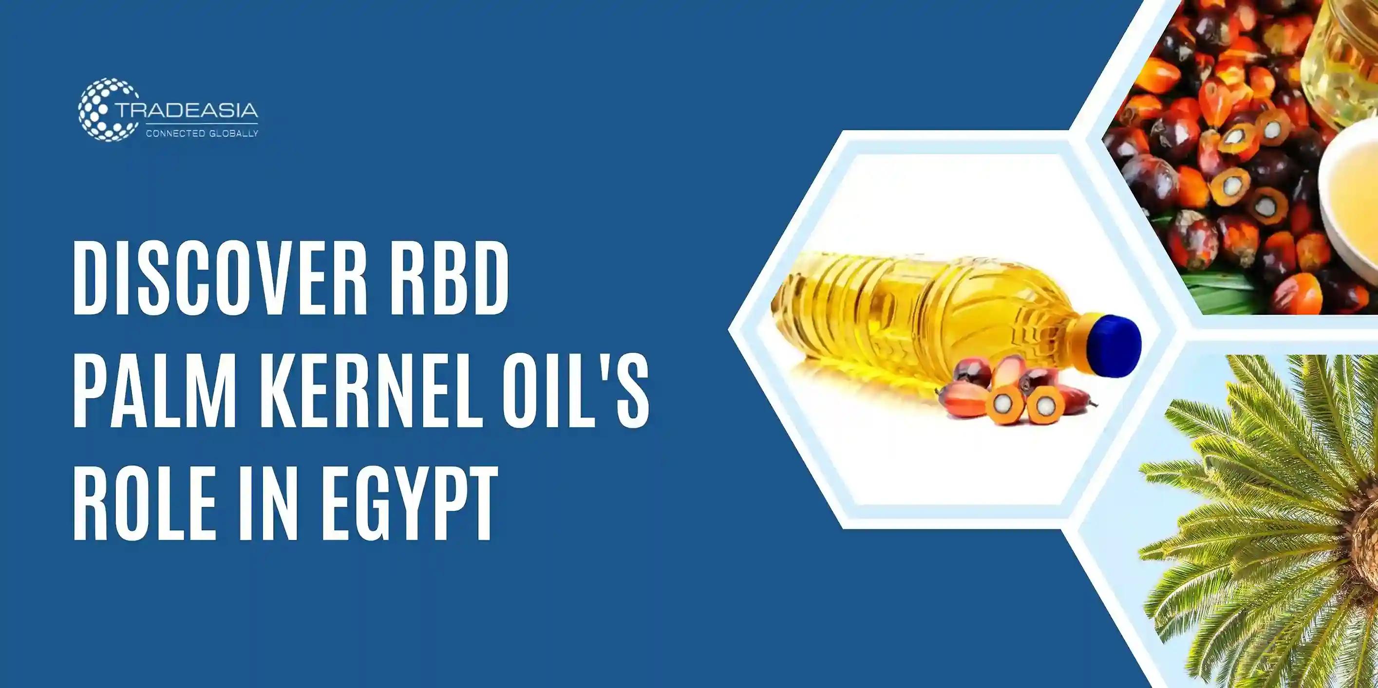 Discover RBD Palm Kernel Oil's Role in Egypt