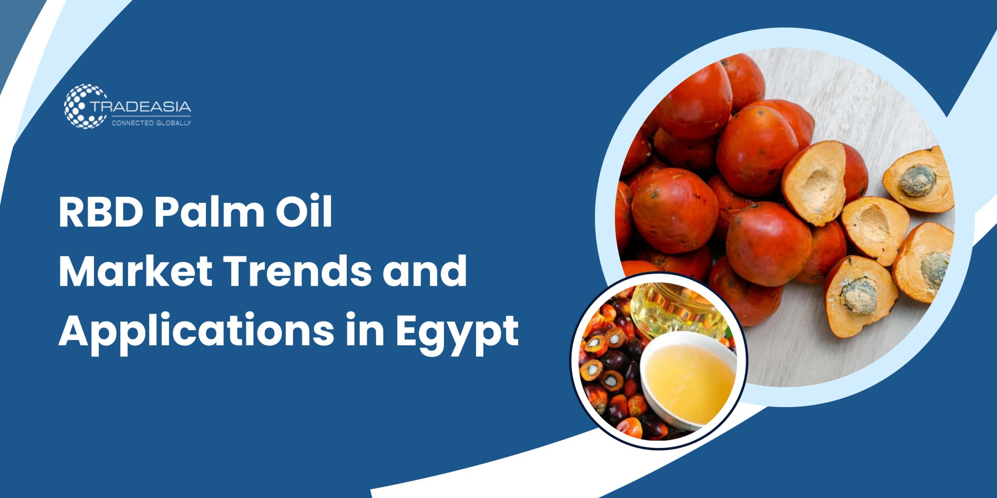RBD Palm Oil Market Trends and Applications in Egypt