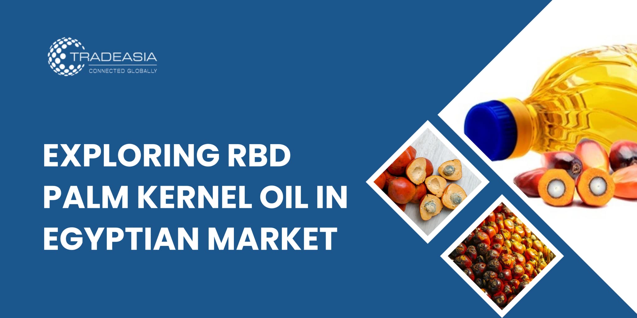 Exploring RBD Palm Kernel Oil in Egyptian Market