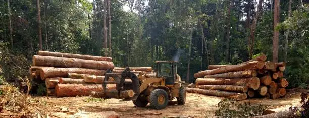 EUDR: How the EU Deforestation Regulation Is Changing Chemical Supply Chain Documentation